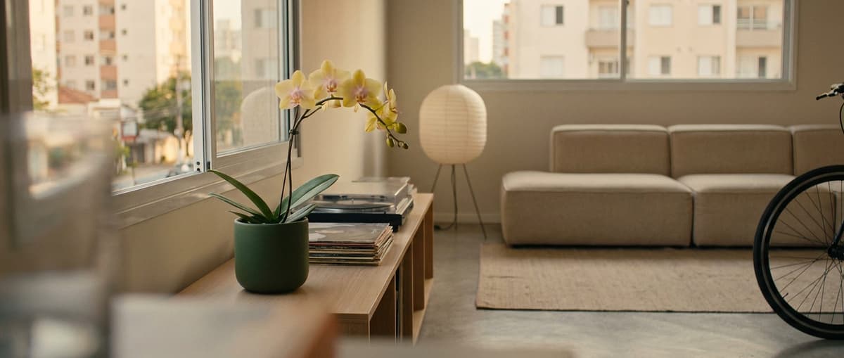 Sala pequena com piso de cimento, vitrola e discos sob a janela; ao lado, uma mini Phalaenopsis amarela em vaso musgo.