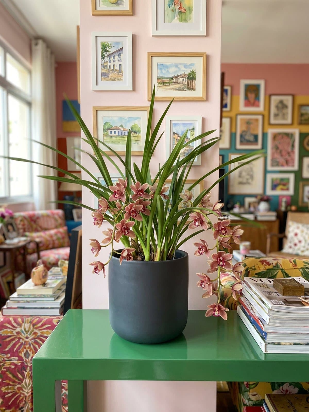 Cymbidium pendente rosé em vaso de porcelana grafite, num console verde laqueado com aquarelas na parede.